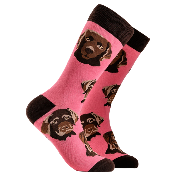 Labrador Socks - Choc Lab
