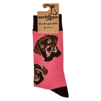 Labrador Socks - Choc Lab