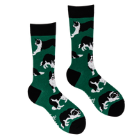 Border Collie Dog Socks - Collies