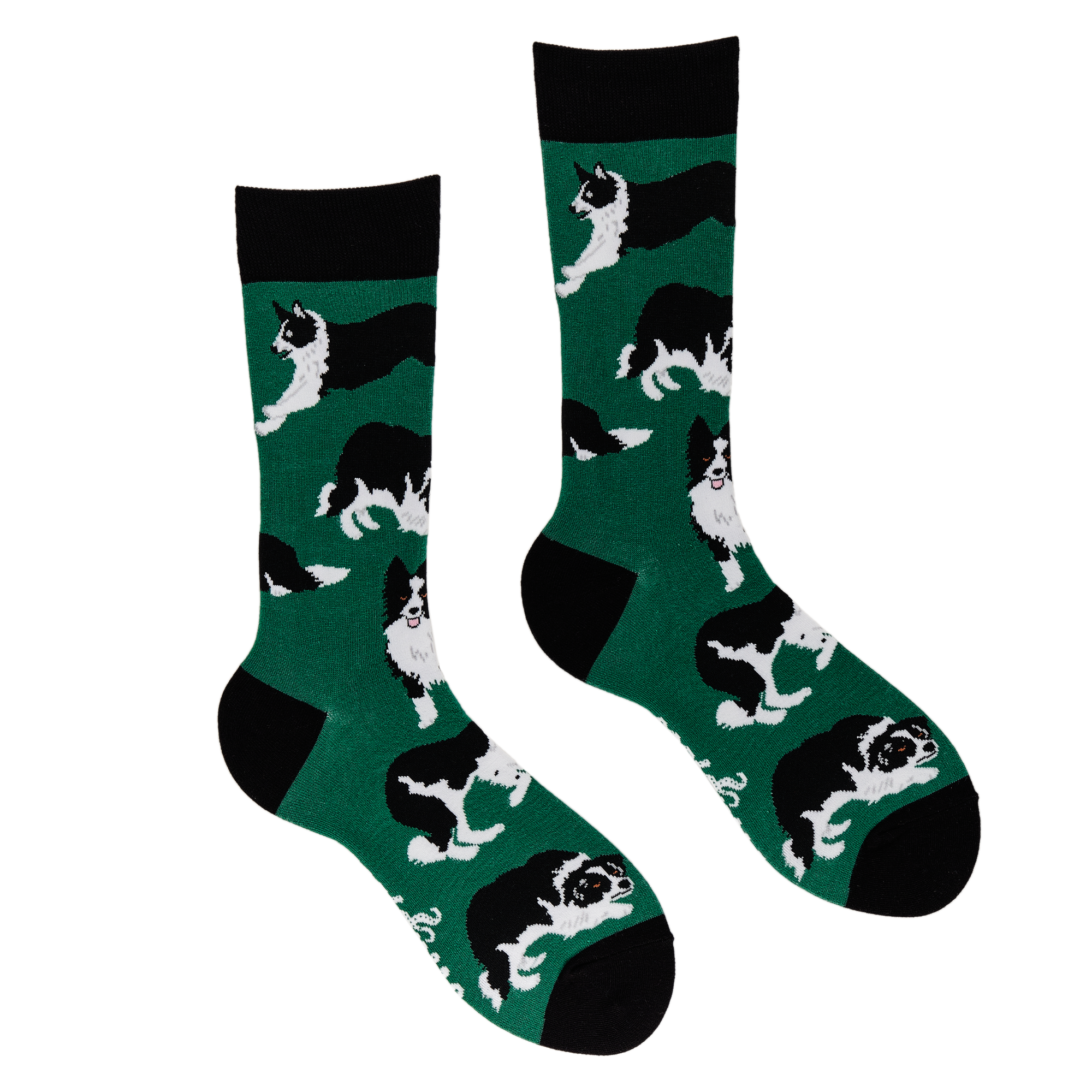 Border Collie Dog Socks - Collies