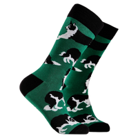 Border Collie Dog Socks - Collies