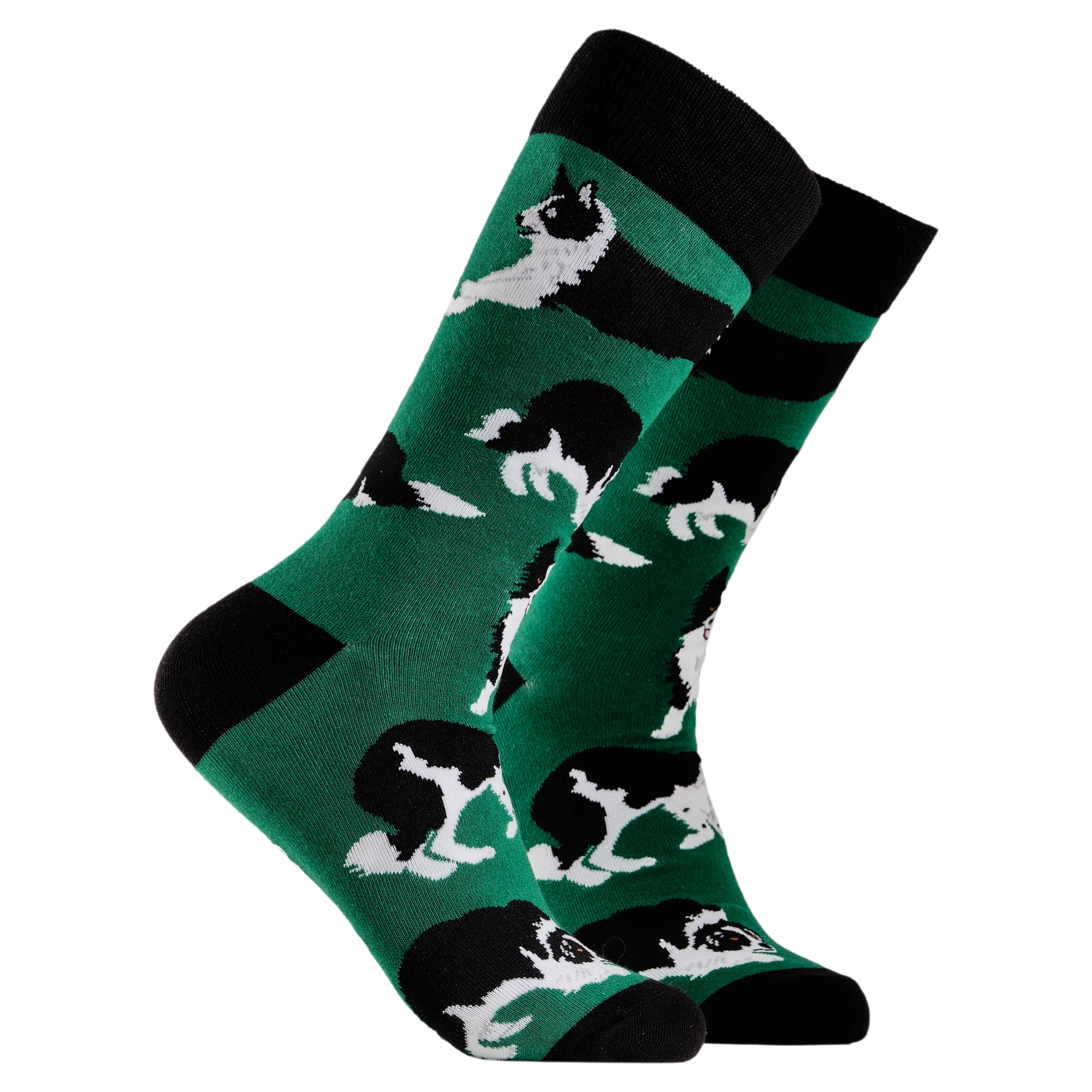 Border Collie Dog Socks - Collies