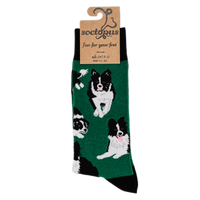 Border Collie Dog Socks - Collies