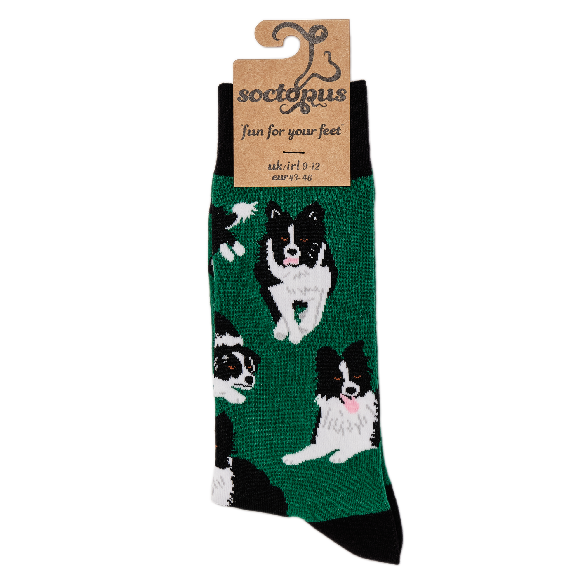 Border Collie Dog Socks - Collies