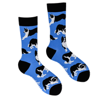 Border Collie Dog Socks - Collies