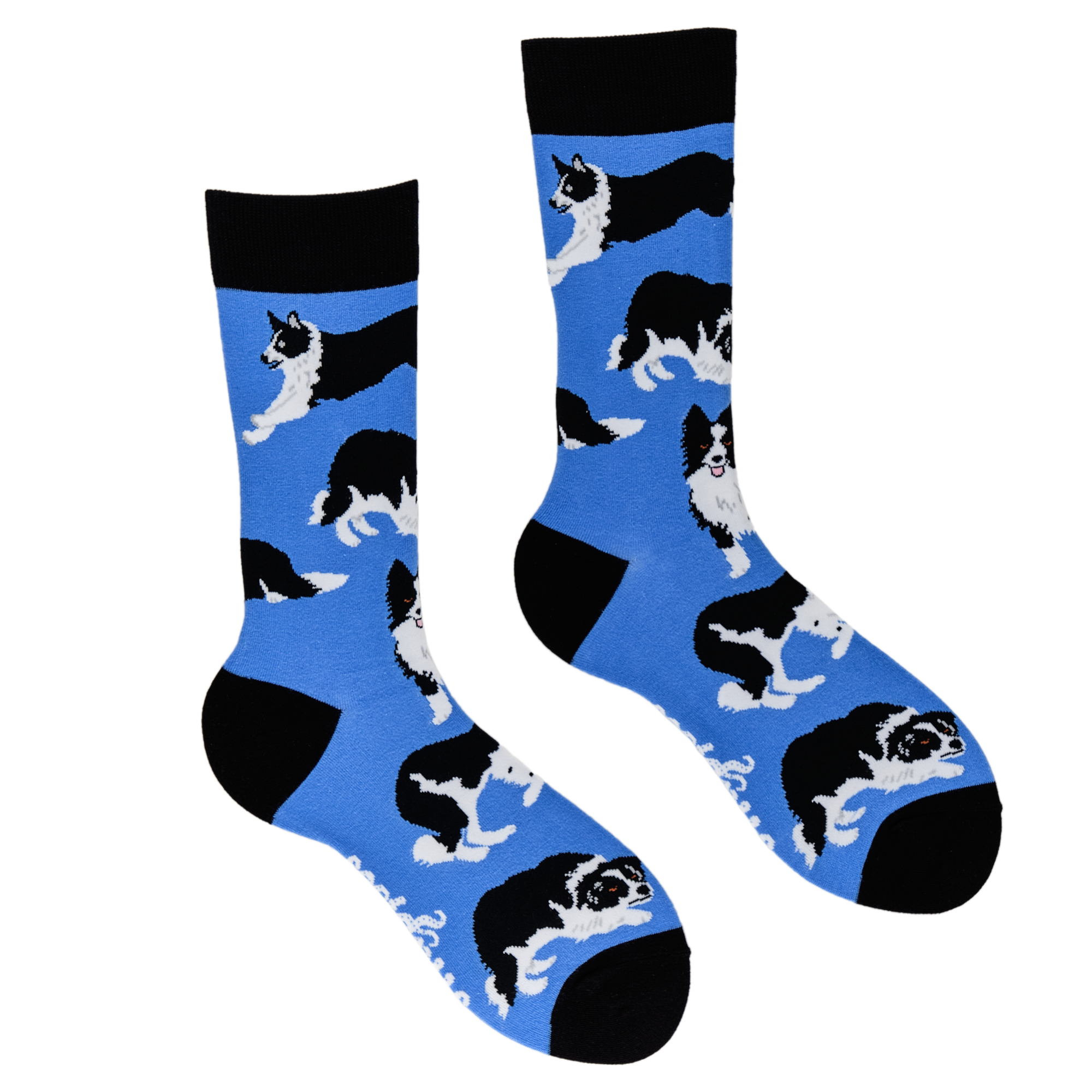 Border Collie Dog Socks - Collies