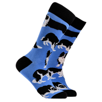 Border Collie Dog Socks - Collies