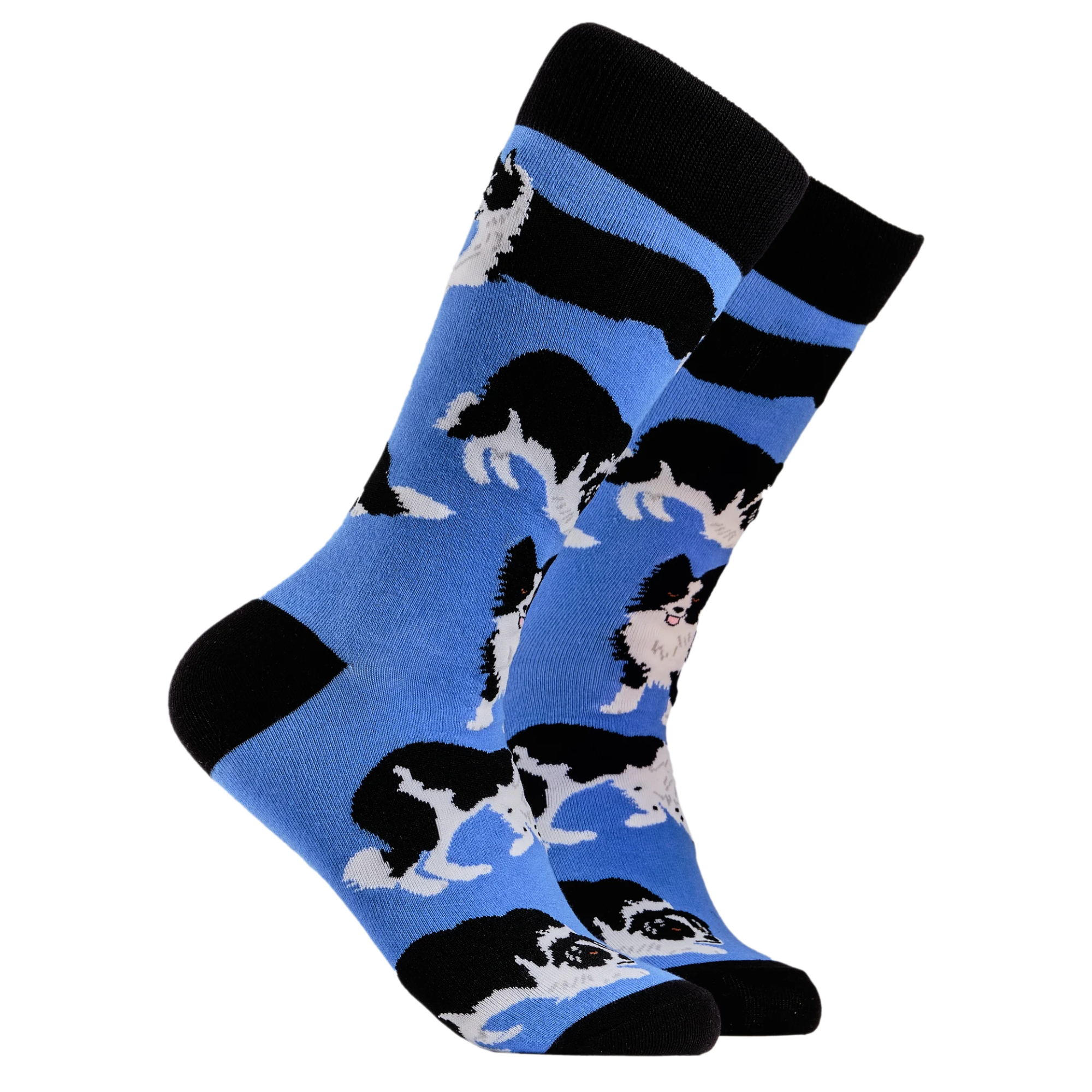 Border Collie Dog Socks - Collies