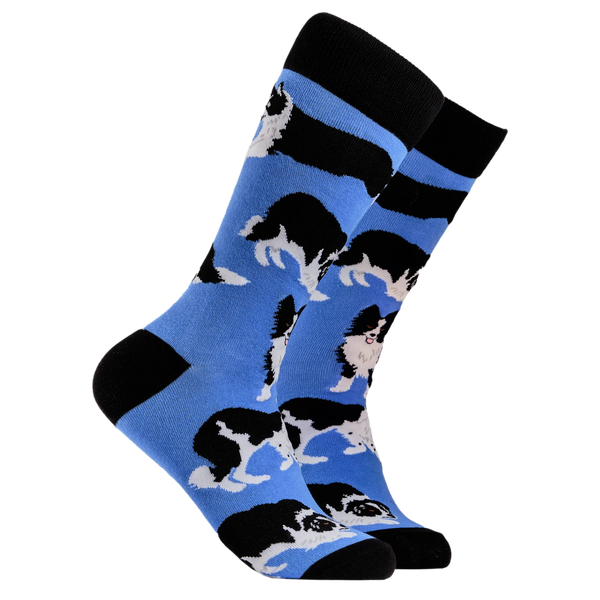 Border Collie Dog Socks - Collies