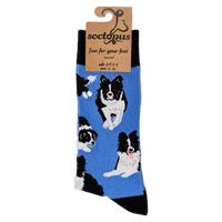 Border Collie Dog Socks - Collies