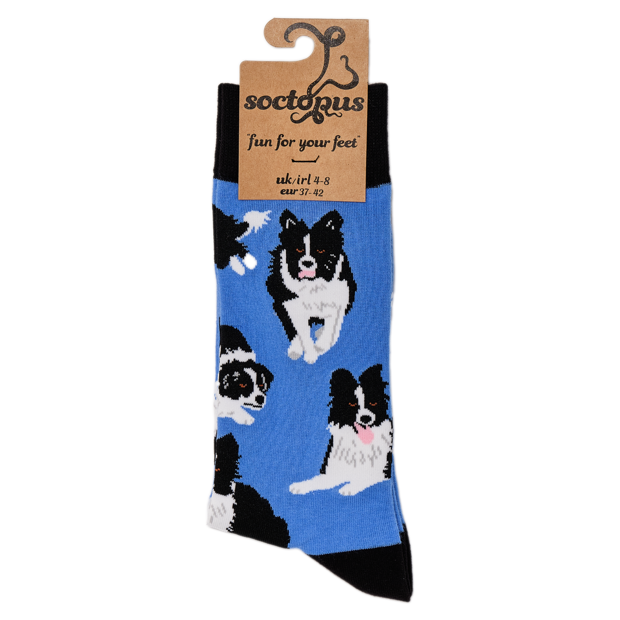 Border Collie Dog Socks - Collies