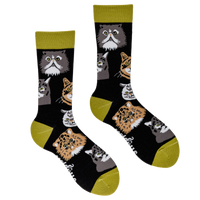 Grumpy Cats Socks