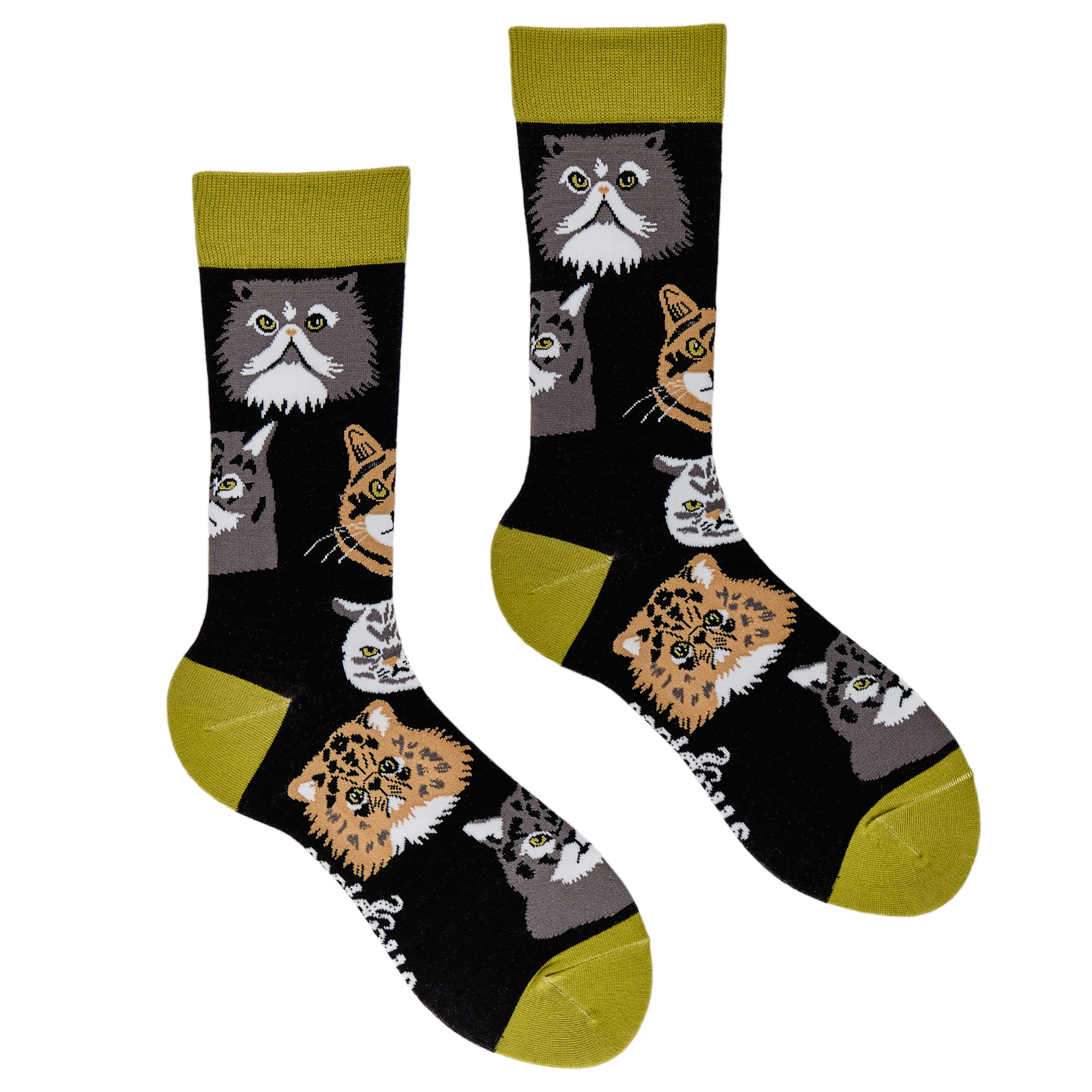 Grumpy Cats Socks