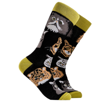 Grumpy Cats Socks