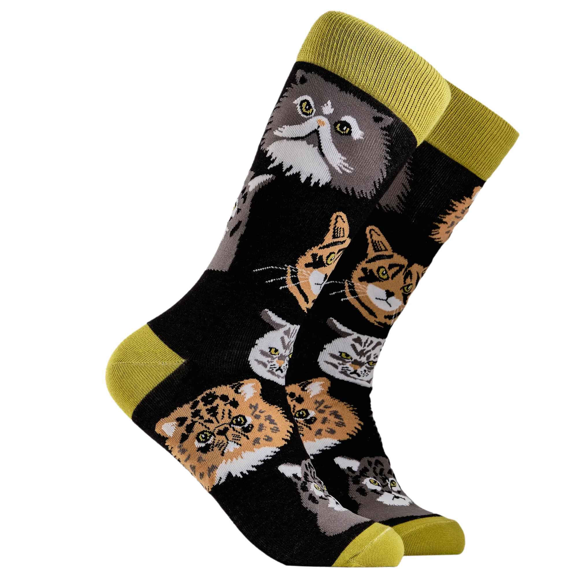 Grumpy Cats Socks