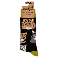 Grumpy Cats Socks