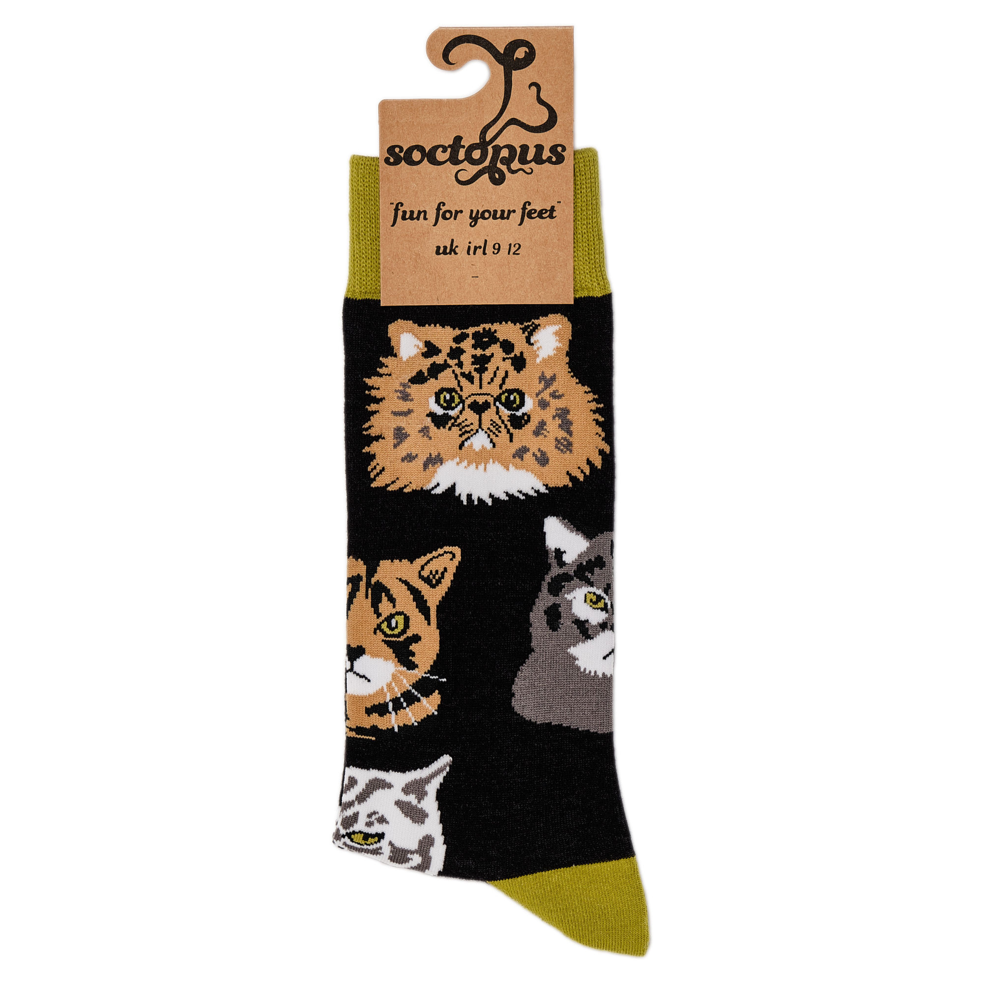 Grumpy Cats Socks
