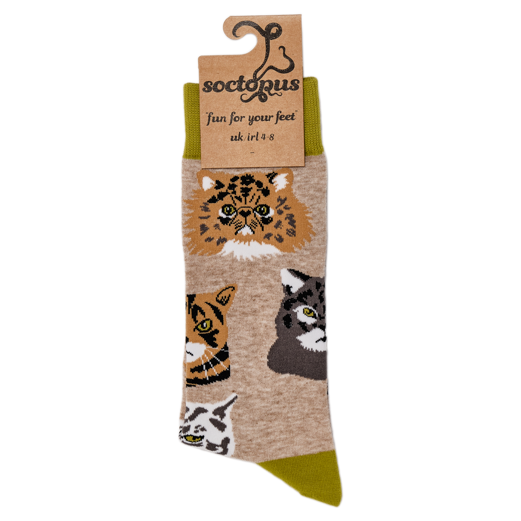 Grumpy Cats Socks