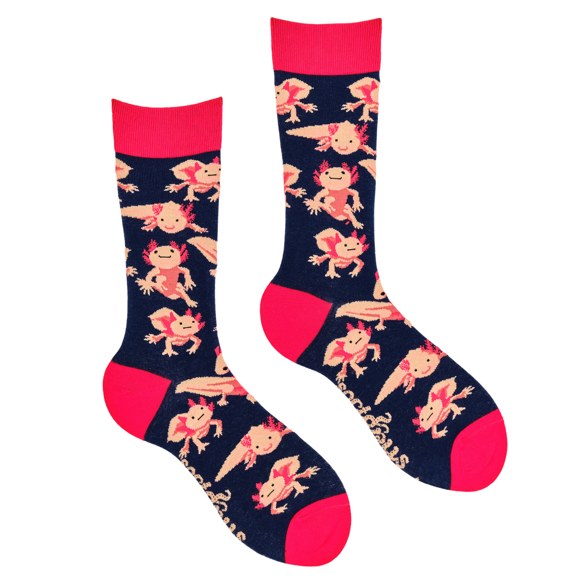 Axolotl Socks - Lottia Axolotl