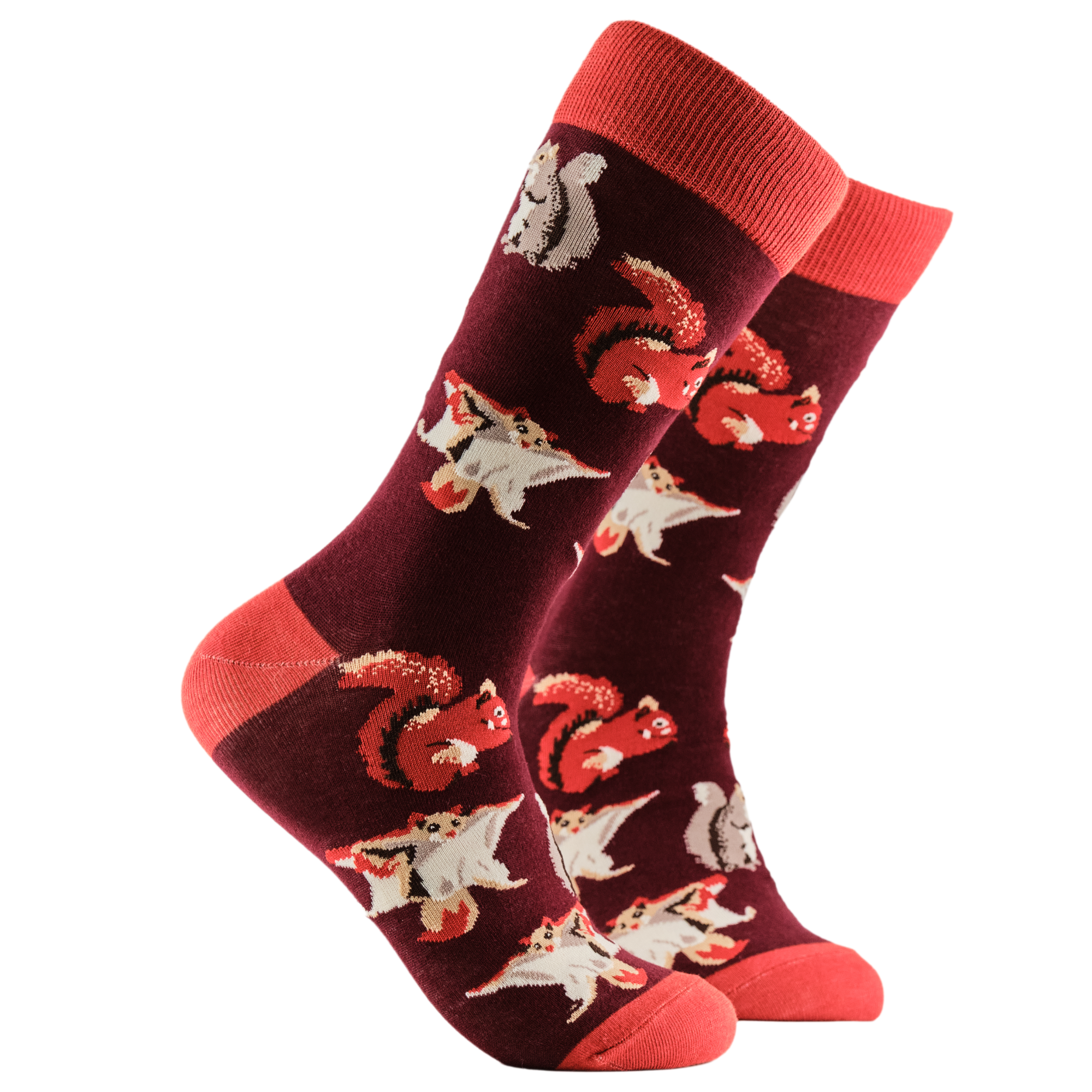 Squirrel Lover Socks