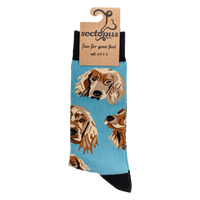 Cocker Spaniel Socks