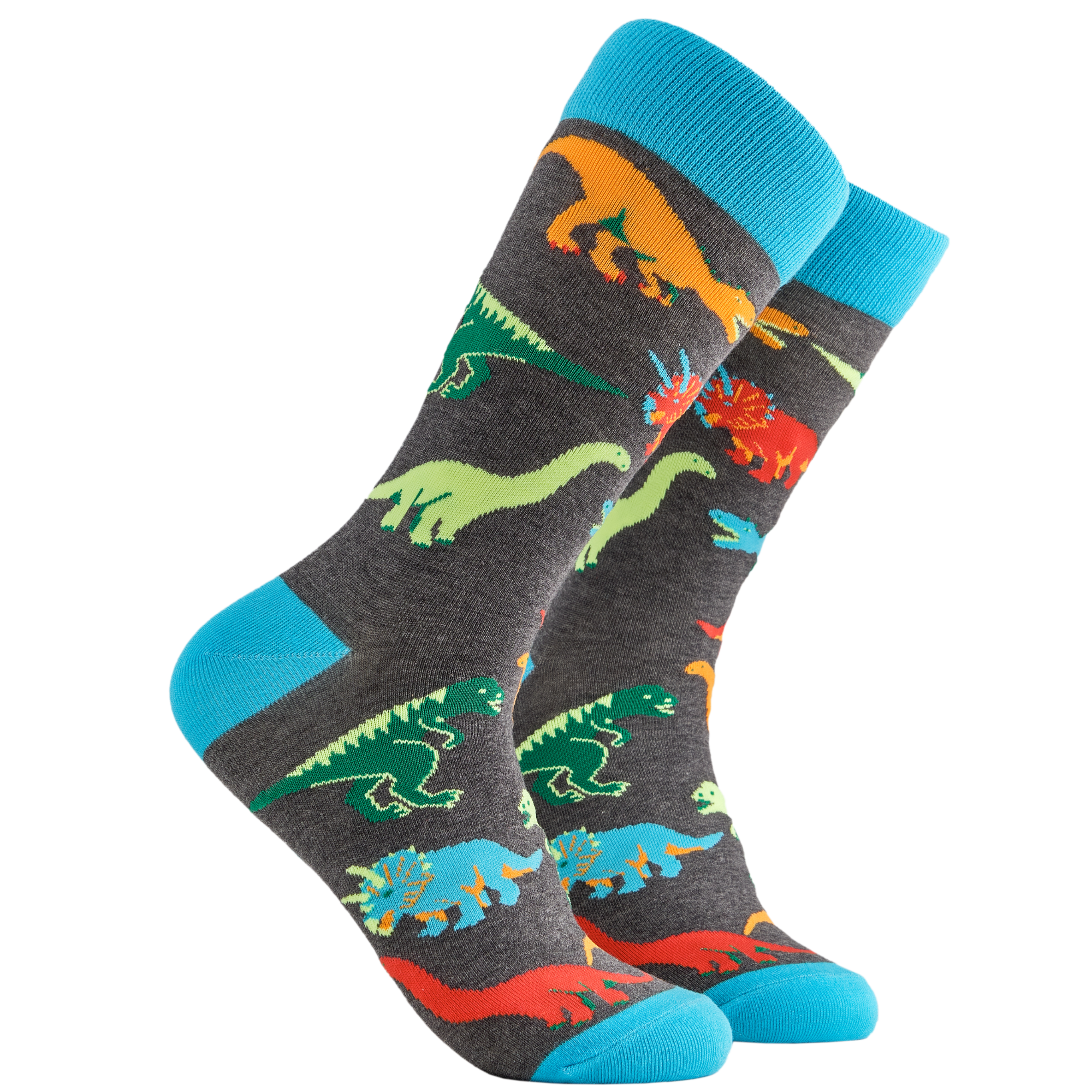 Dinosaur Socks - Jurassic