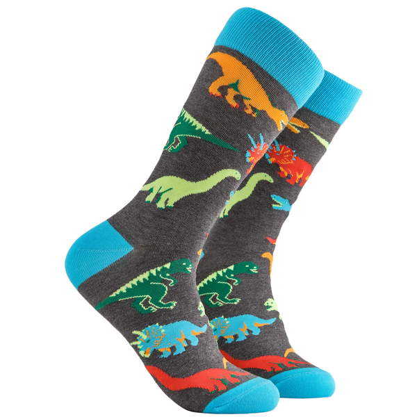 Dinosaur Socks - Jurassic
