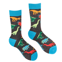 Dinosaur Socks - Jurassic