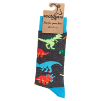 Dinosaur Socks - Jurassic