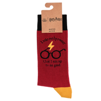 Harry Potter Socks - Up to No Good